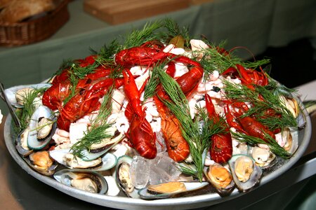 Seafood refreshments appetizing