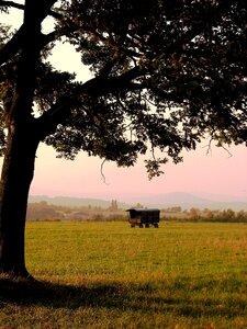 Autumn meadow pasture