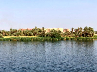 El Allaqi from the Nile River, AG, EGY 