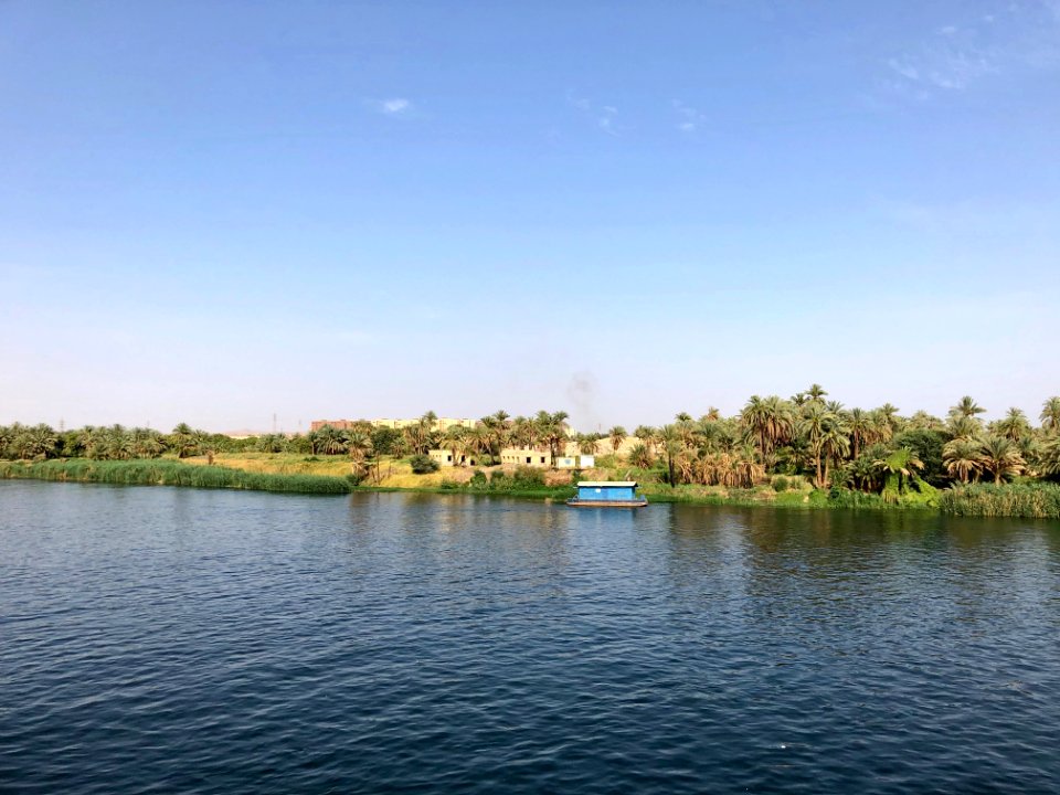 El Allaqi from the Nile River, AG, EGY 
