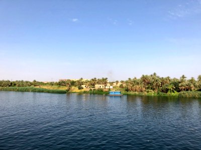 El Allaqi from the Nile River, AG, EGY 