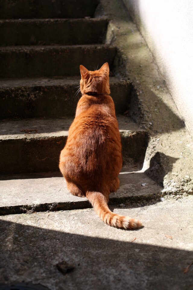 Sitting back staircase
