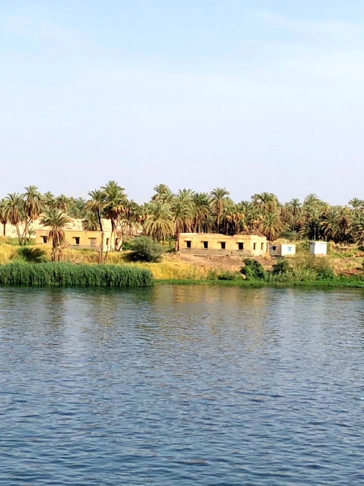 El Allaqi from the Nile River, AG, EGY 
