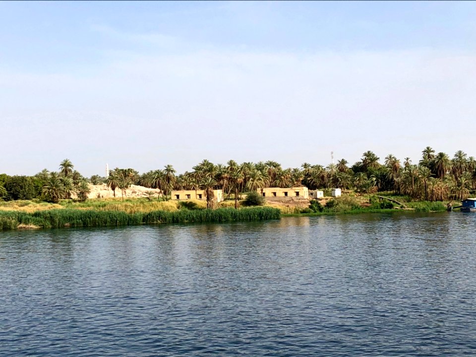 El Allaqi from the Nile River, AG, EGY 