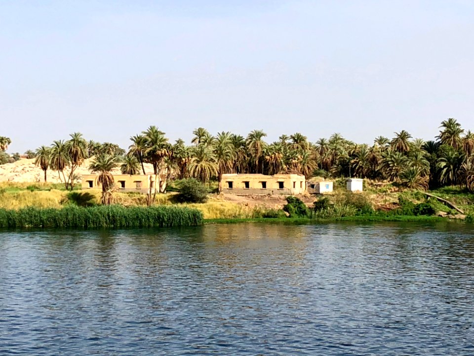 El Allaqi from the Nile River, AG, EGY 
