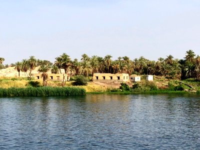 El Allaqi from the Nile River, AG, EGY 