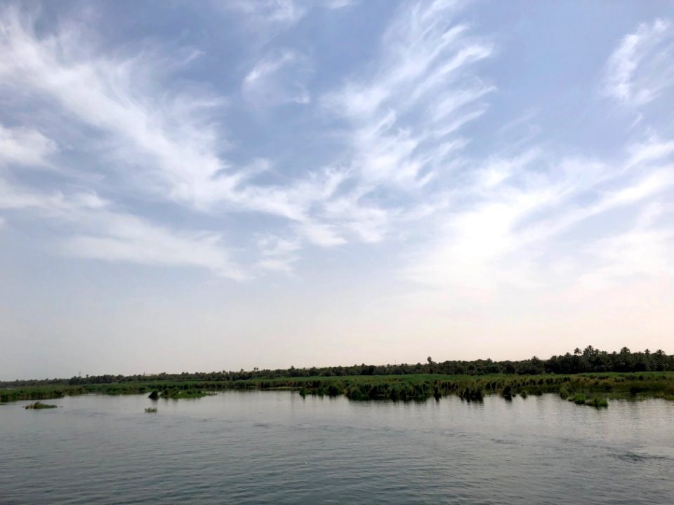 Wetlands, Nile River, Nagel-Gesira El-Gedida, AG, EGY 