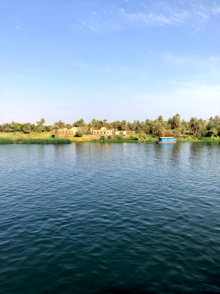 El Allaqi from the Nile River, AG, EGY 