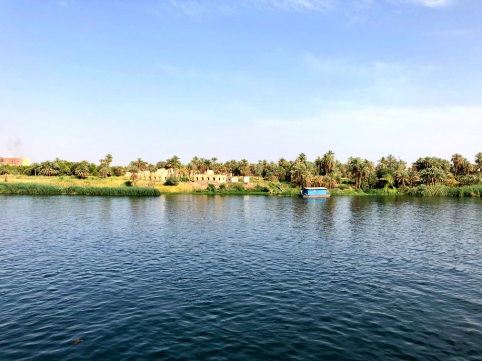 El Allaqi from the Nile River, AG, EGY 