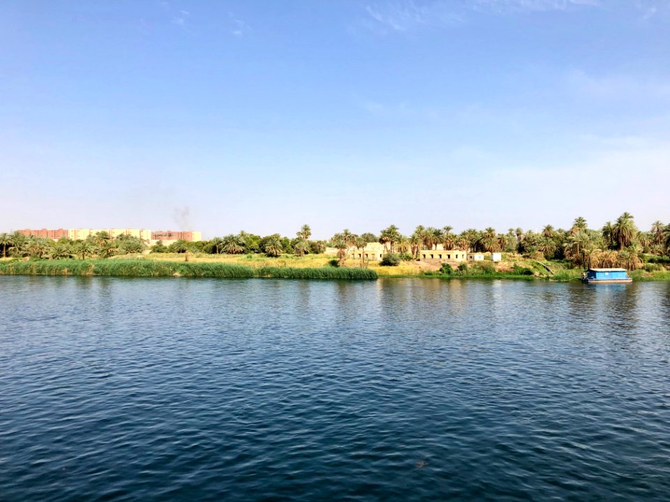 El Allaqi from the Nile River, AG, EGY 