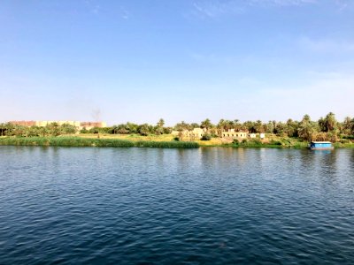 El Allaqi from the Nile River, AG, EGY 