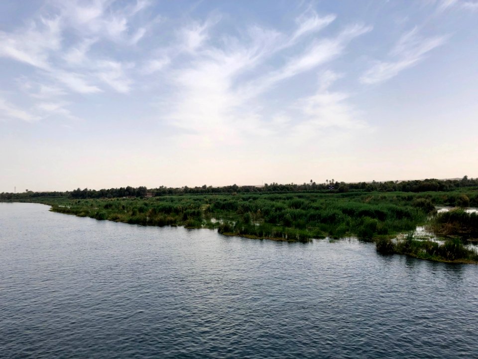 Wetlands, Nile River, Nagel-Gesira El-Gedida, AG, EGY 
