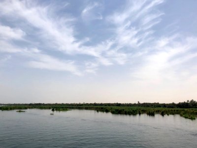Wetlands, Nile River, Nagel-Gesira El-Gedida, AG, EGY 