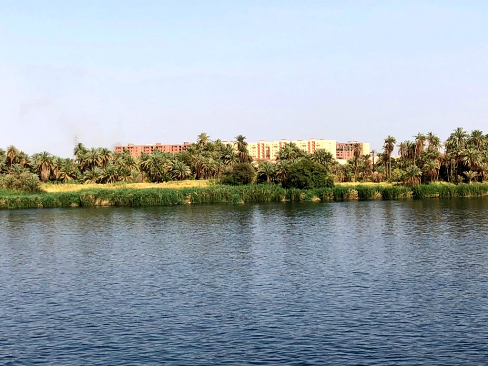 El Allaqi from the Nile River, AG, EGY 