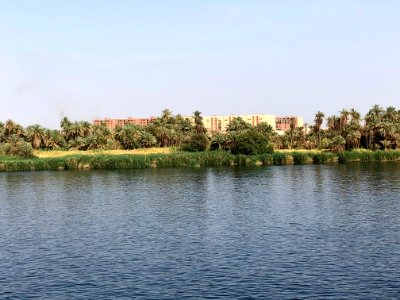 El Allaqi from the Nile River, AG, EGY 