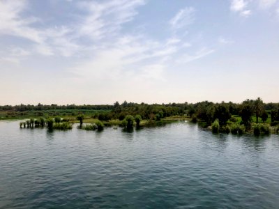 Wetlands, Nile River, Nagel-Gesira El-Gedida, AG, EGY 