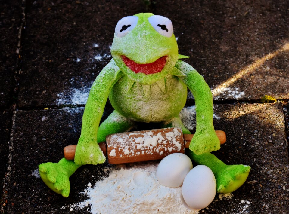 Egg flour ingredients