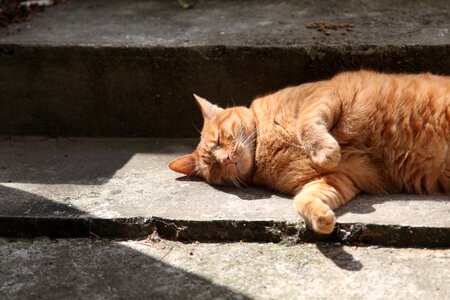 Lying asleep staircase