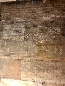 Festival Hall, Temple of Horus at Edfu, Edfu, AG, EGY 