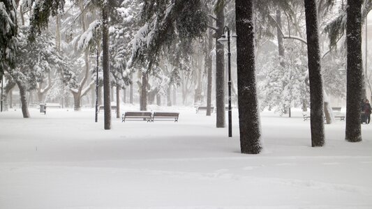 Winter snow landscape february photo