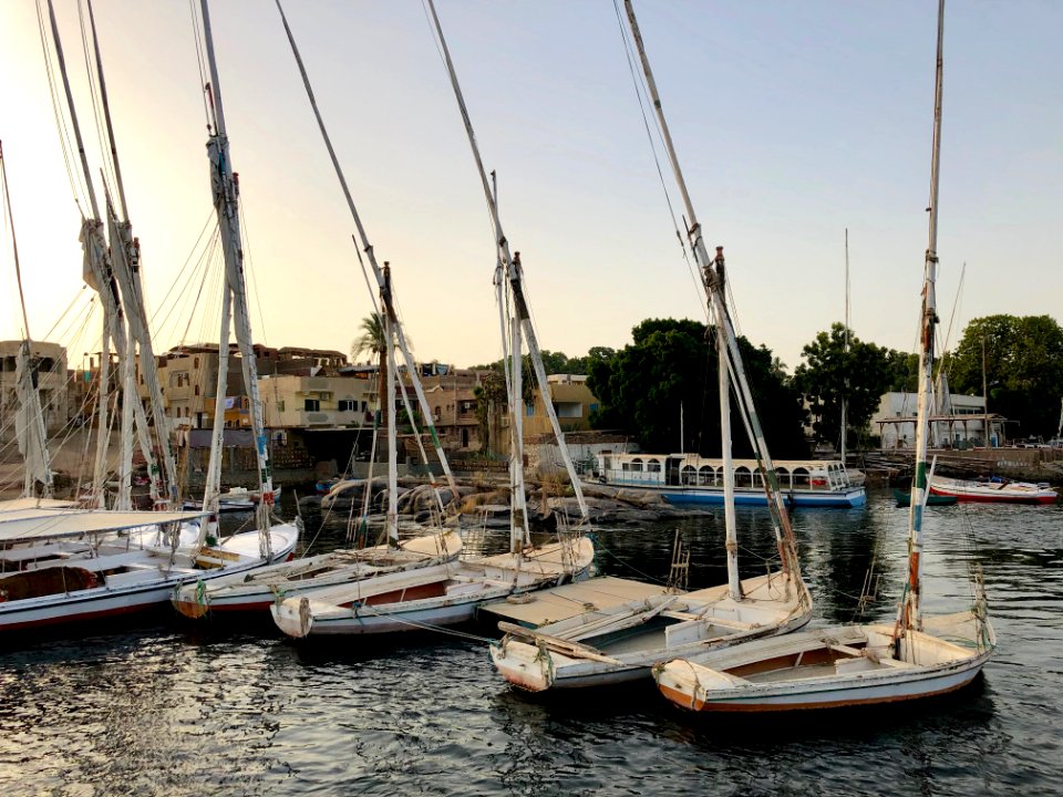 Sailboats, Elephantine Island, Aswan, AG, EGY 