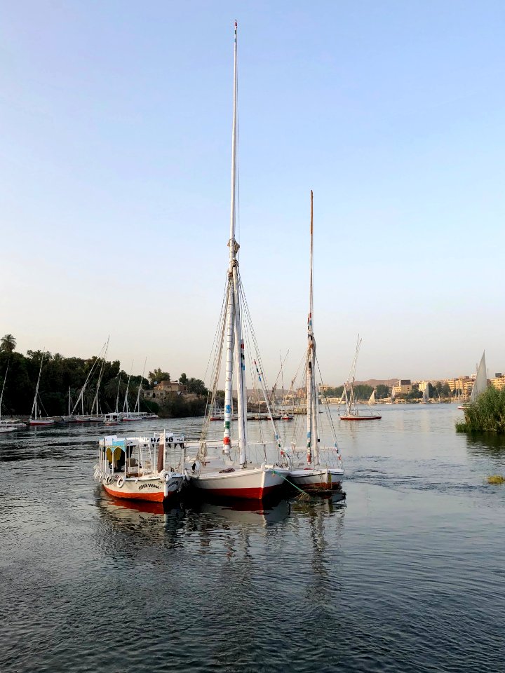 Nile River Sailboats, Aswan, AG, EGY 