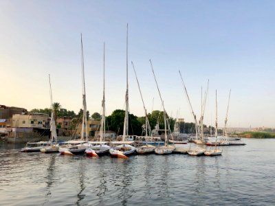 Sailboats, Elephantine Island, Aswan, AG, EGY 