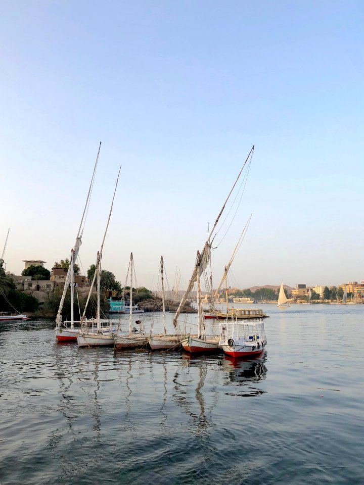 Nile River Sailboats, Aswan, AG, EGY 