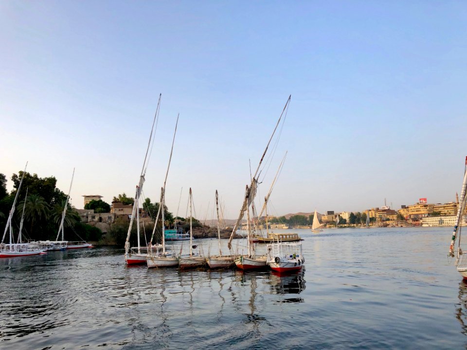 Nile River Sailboats, Aswan, AG, EGY 
