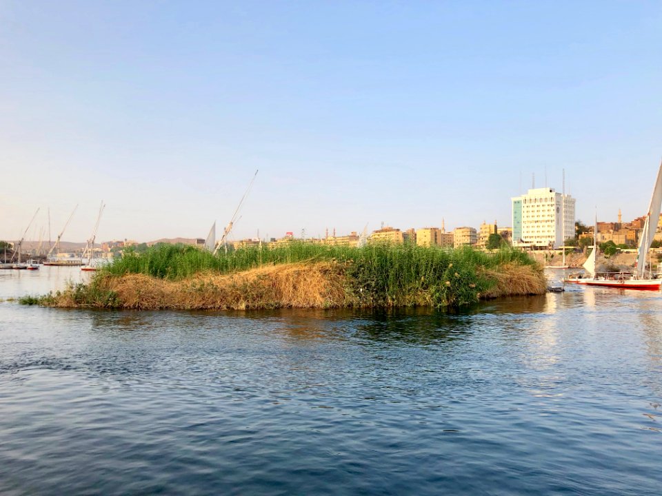 Grassy Island, Nile River, Aswan, AG, EGY 