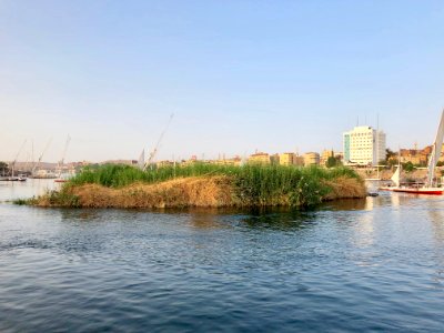 Grassy Island, Nile River, Aswan, AG, EGY 