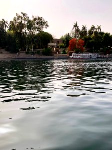 Aswan Botanical Garden, Aswan, AG, EGY 