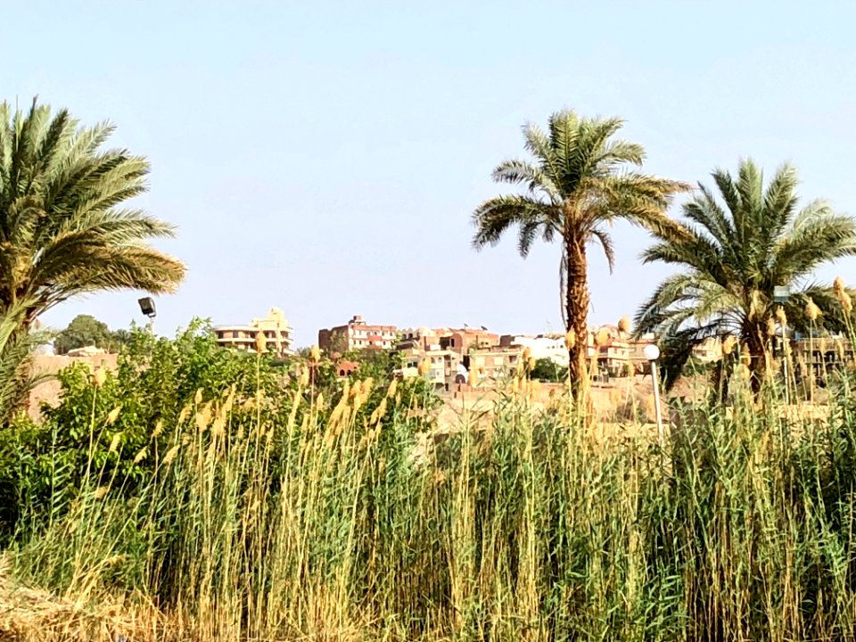 Salouga and Ghazal Nature Reserve, Aswan, AG, EGY 