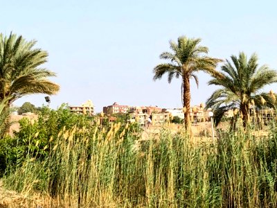 Salouga and Ghazal Nature Reserve, Aswan, AG, EGY 