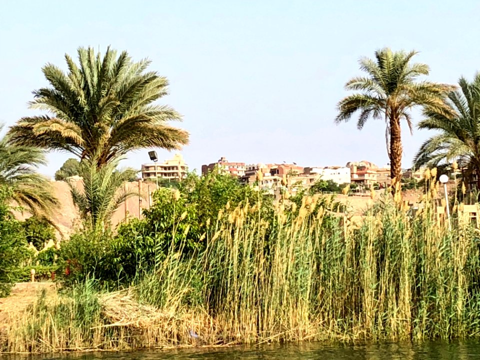 Salouga and Ghazal Nature Reserve, Aswan, AG, EGY 
