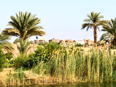 Salouga and Ghazal Nature Reserve, Aswan, AG, EGY 