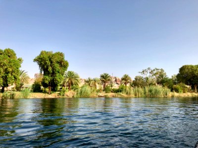 Salouga and Ghazal Nature Reserve, Aswan, AG, EGY photo