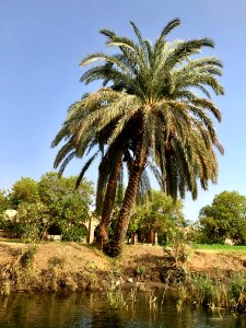 Salouga and Ghazal Nature Reserve, Aswan, AG, EGY 