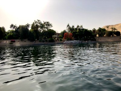 Aswan Botanical Garden, Aswan, AG, EGY 