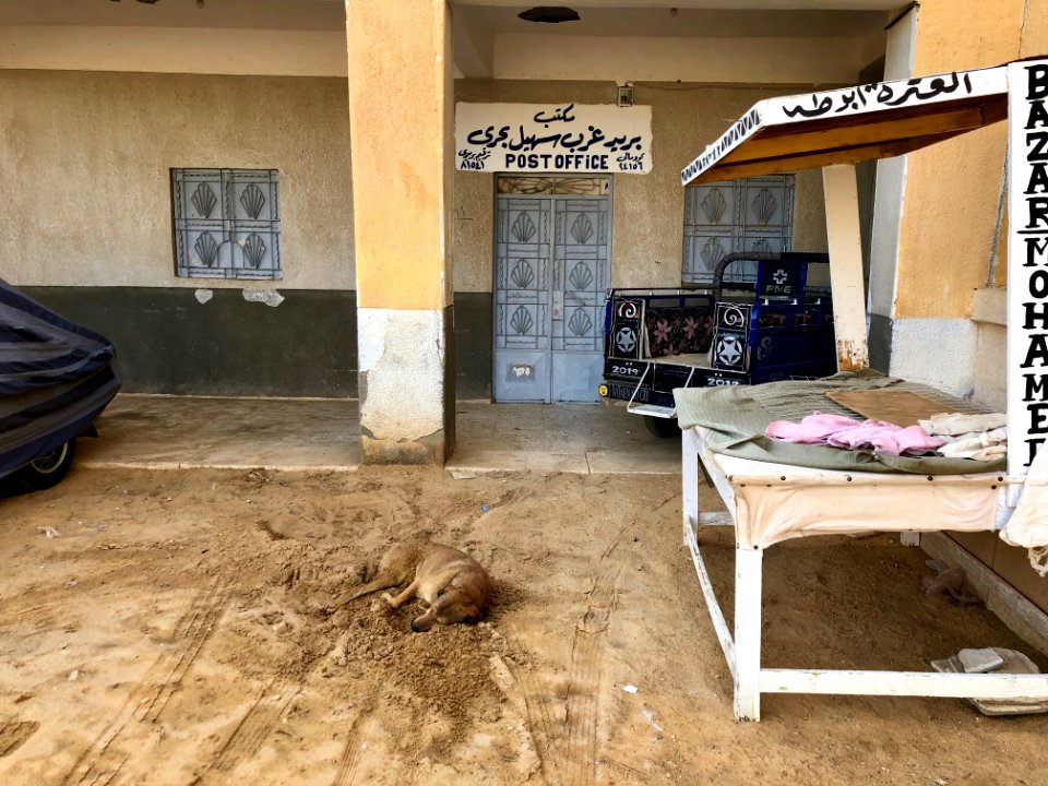 Stray Dog, Nagaa Suhayl Gharb, AG, EGY 