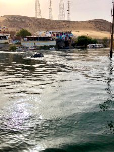Nile River, Nagaa Suhayl Gharb, AG, EGY 