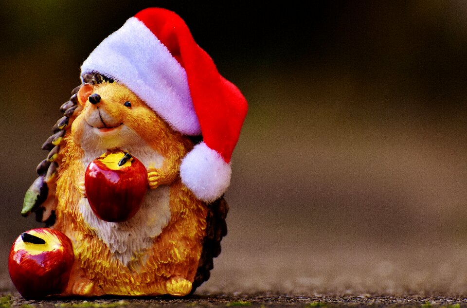 Santa hat decoration funny