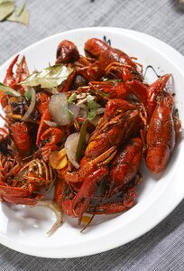 Shooting gourmet photography
