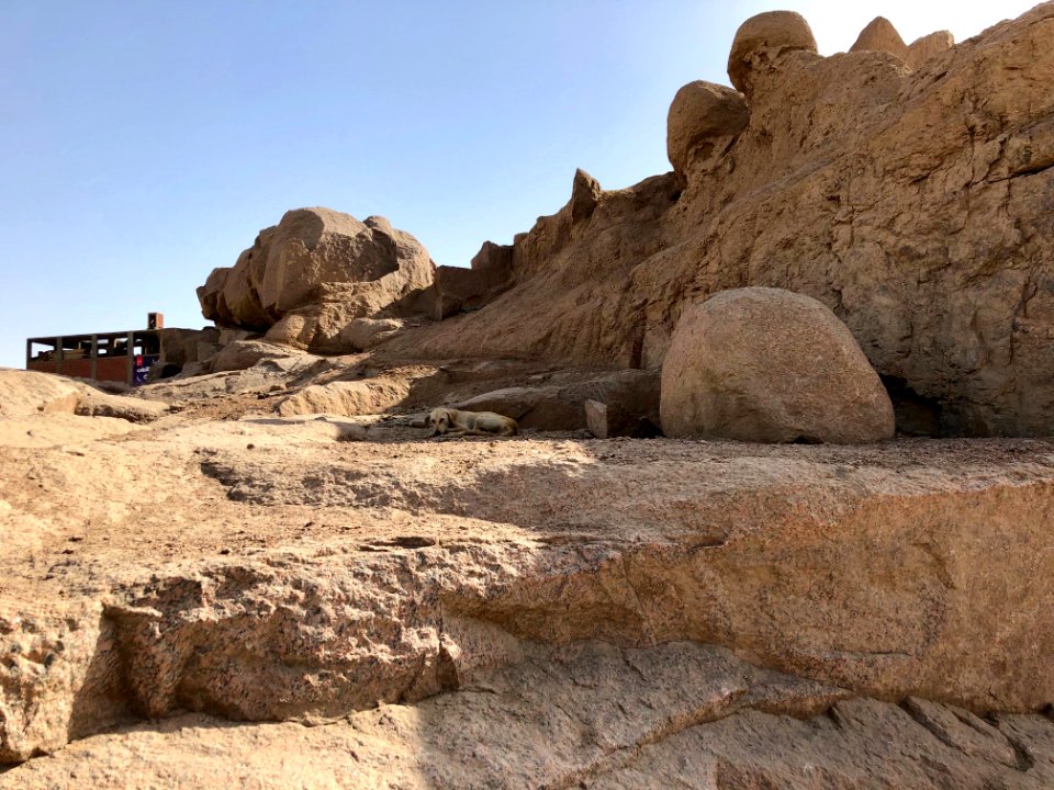 Stray Dog, Ancient Quarry, Aswan, AG, EGY 