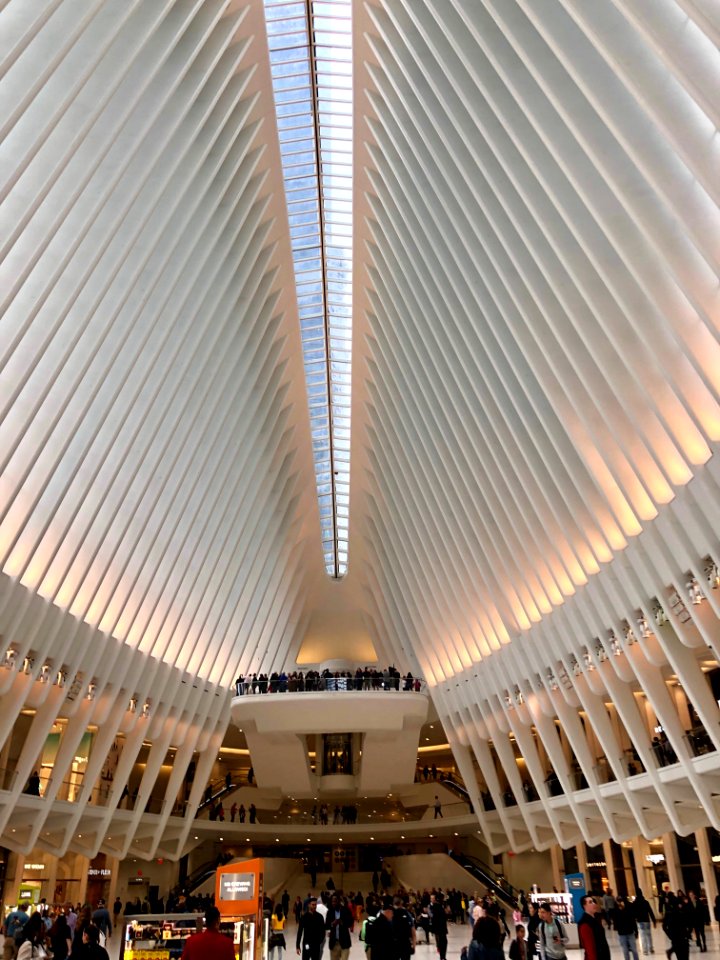 The Oculus, World Trade Center Transportation Hub, New Yor… 