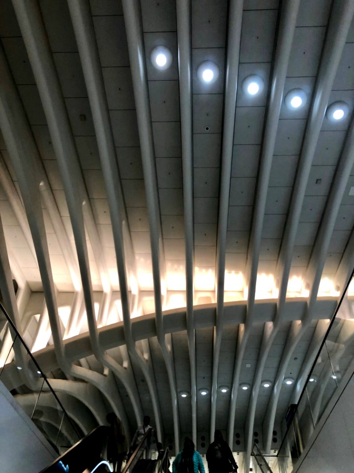 Structural Detail, World Trade Center Transportation Hub, … 