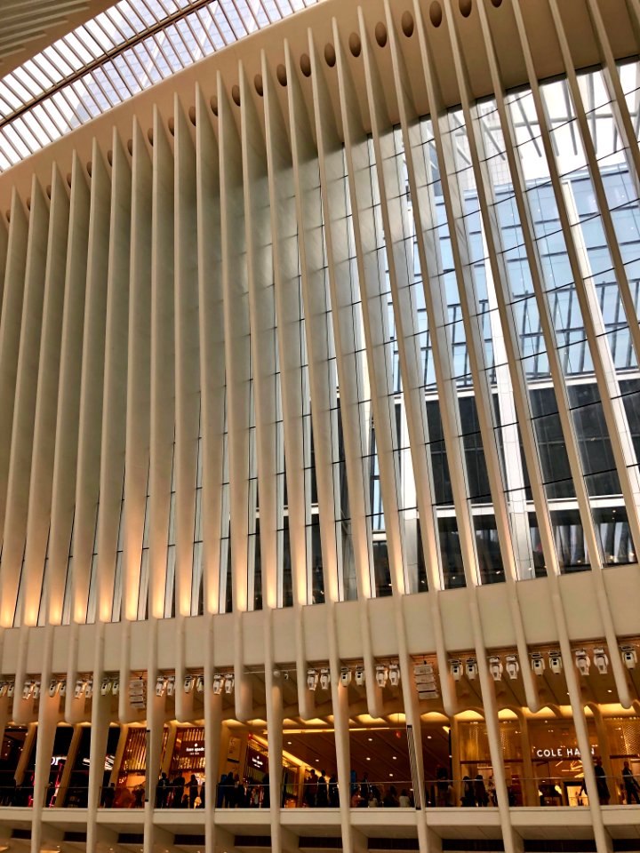 The Oculus, World Trade Center Transportation Hub, New Yor… 
