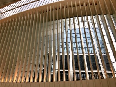 The Oculus, World Trade Center Transportation Hub, New Yor… 