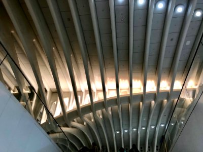 Structural Detail, World Trade Center Transportation Hub, … 