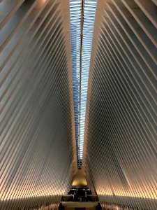 The Oculus, World Trade Center Transportation Hub, New Yor… 